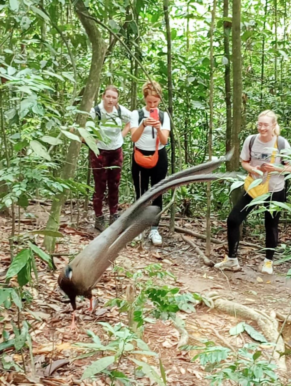 Landak River Guest House Only Trekking With Us Bukit Lawang Exteriér fotografie
