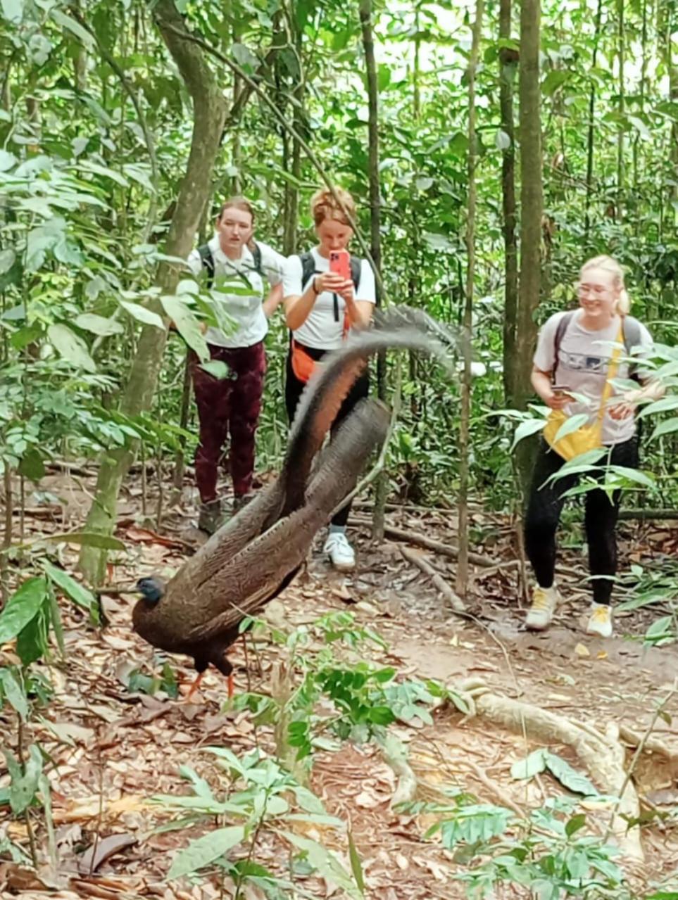 Landak River Guest House Only Trekking With Us Bukit Lawang Exteriér fotografie