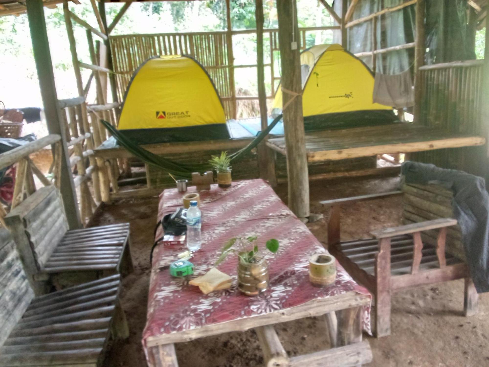Landak River Guest House Only Trekking With Us Bukit Lawang Exteriér fotografie