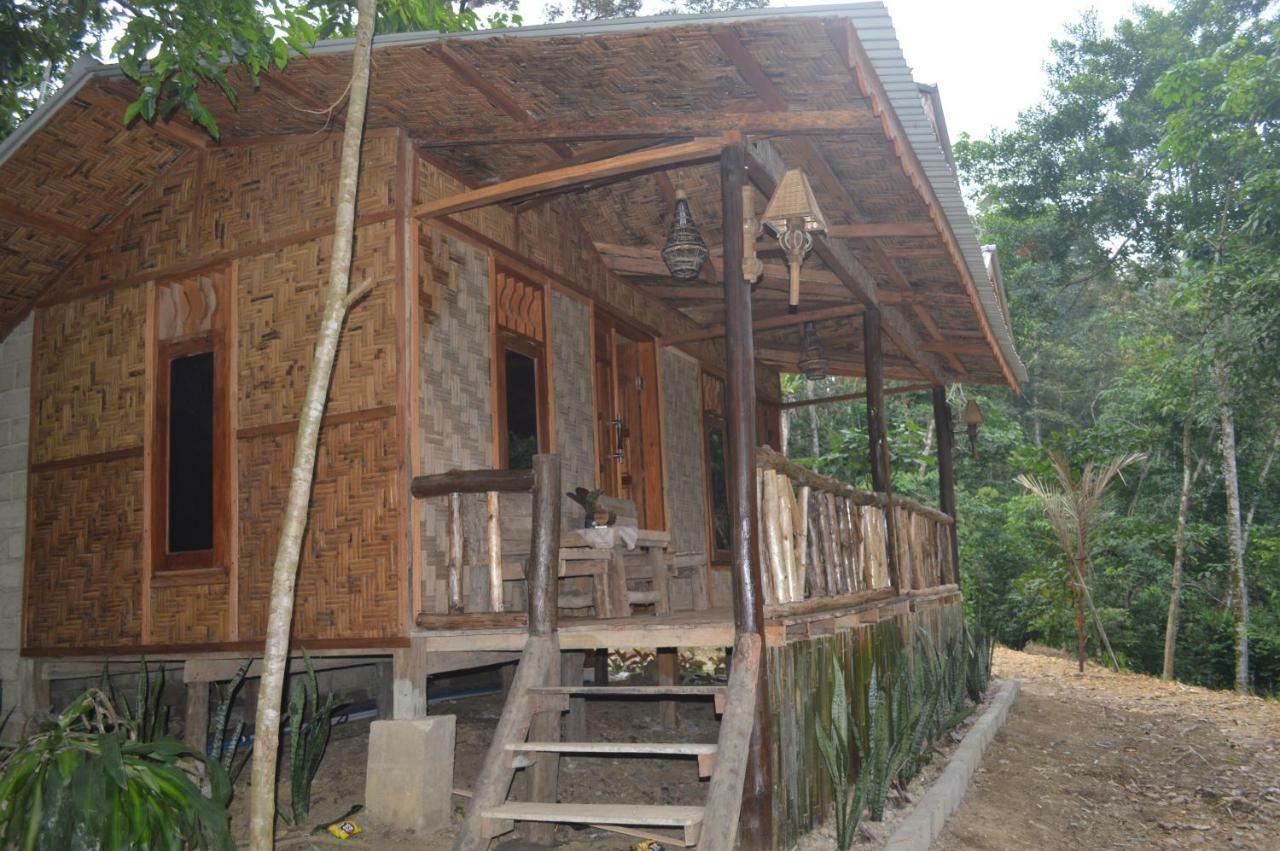 Landak River Guest House Only Trekking With Us Bukit Lawang Exteriér fotografie