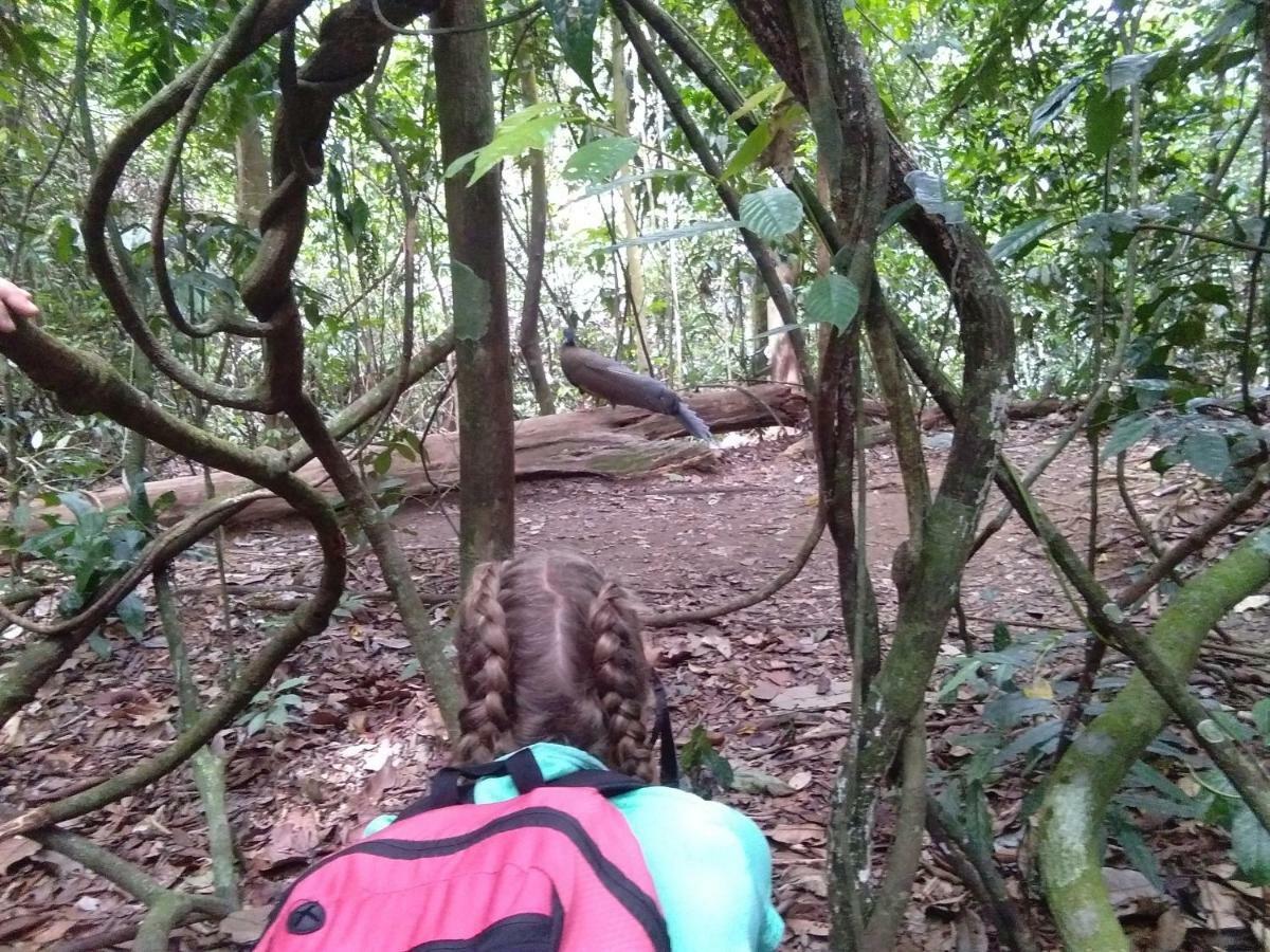 Landak River Guest House Only Trekking With Us Bukit Lawang Exteriér fotografie