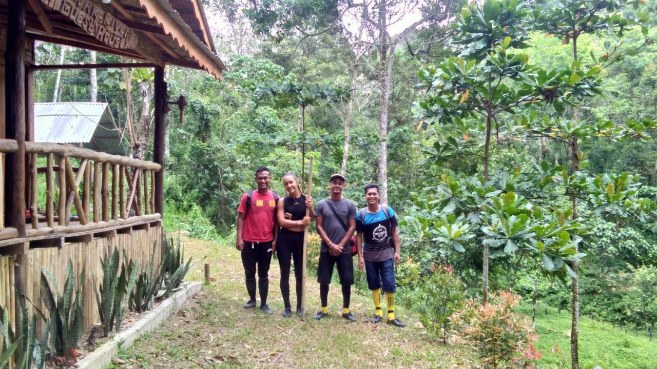 Landak River Guest House Only Trekking With Us Bukit Lawang Exteriér fotografie