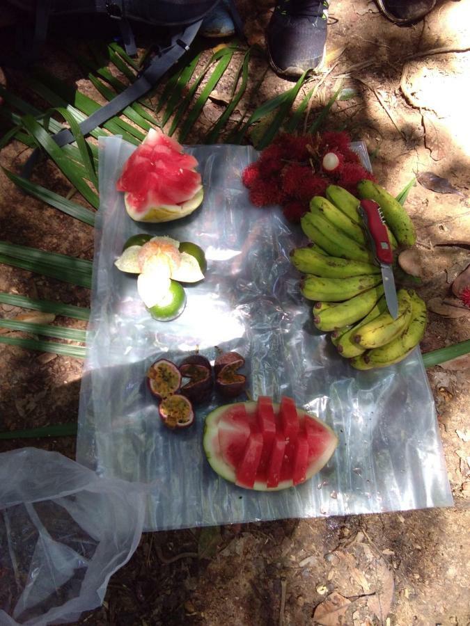Landak River Guest House Only Trekking With Us Bukit Lawang Exteriér fotografie