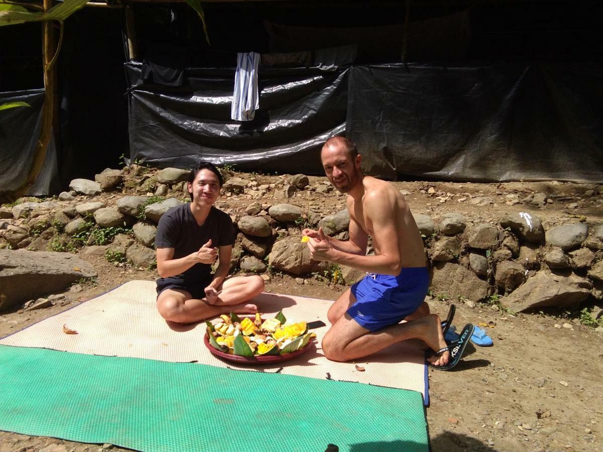Landak River Guest House Only Trekking With Us Bukit Lawang Exteriér fotografie