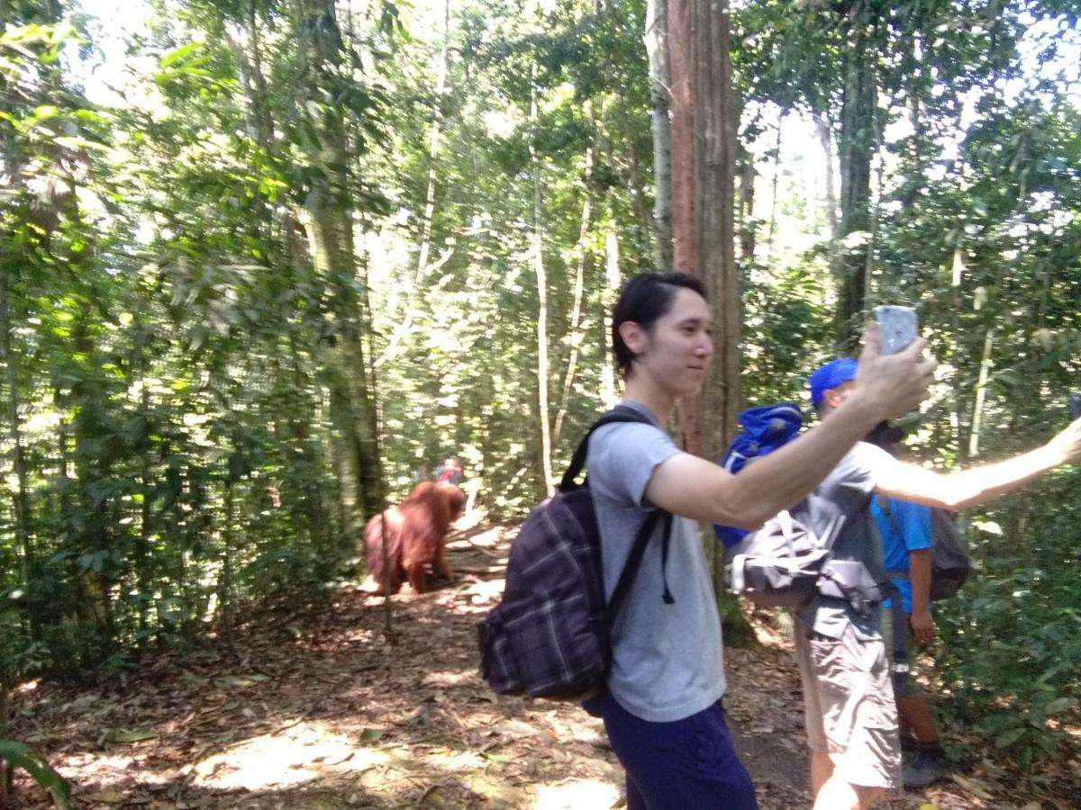 Landak River Guest House Only Trekking With Us Bukit Lawang Exteriér fotografie
