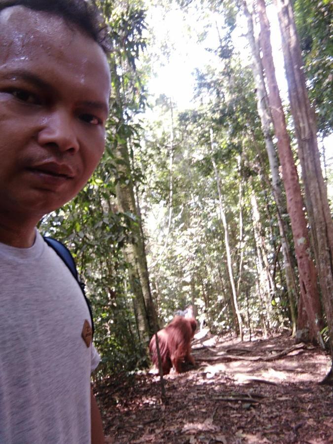 Landak River Guest House Only Trekking With Us Bukit Lawang Exteriér fotografie